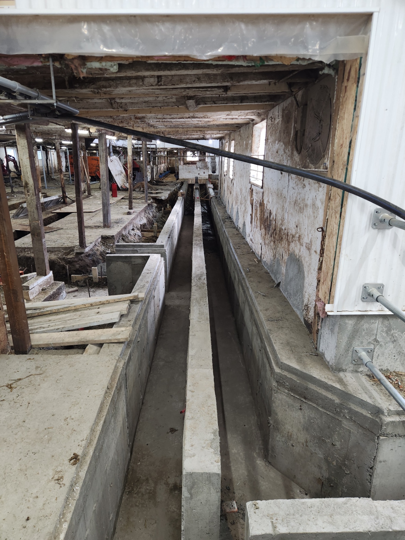 Dalots de béton coulés dans une étable